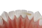 15f1c0ca-74d2-439c-975c-b20d9d19057b