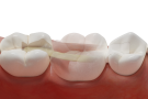 e23d0b67-c599-4782-8970-44e8116732f0